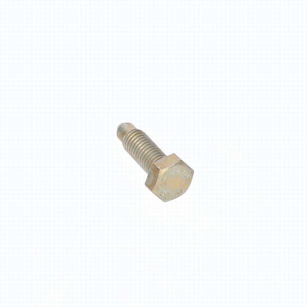 AYP10002 - SCREW-DOG POINT Genuine